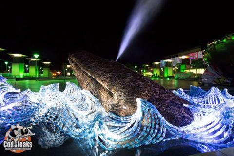 Bristol Whale, recycle, Aquathin,