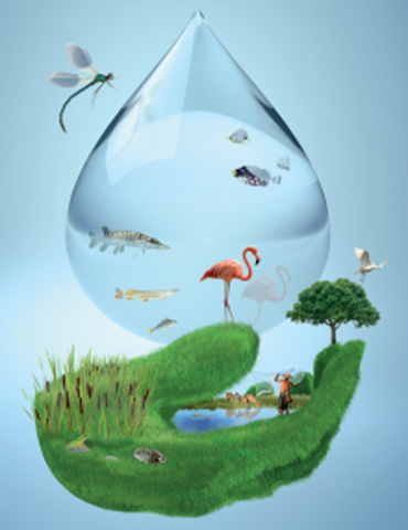 water pollution,
