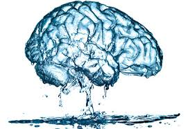 water on the brain,