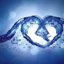 Pure water, Pure Heart