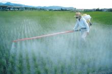 Pesticide, water pollution