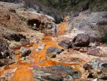 polluted stream, chemical runoff